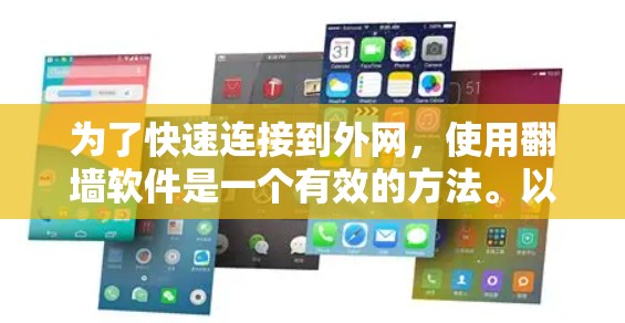 为了快速连接到外网，使用翻墙软件是一个有效的方法。以下是详细的步骤指南