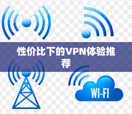 性价比下的VPN体验推荐