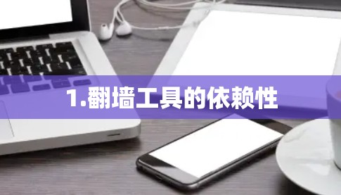 1.翻墙工具的依赖性