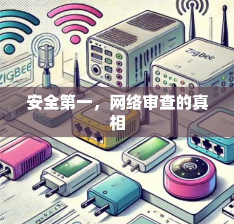 安全第一,网络审查的真相 安全第一,网络审查的真相