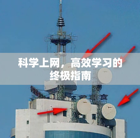 科学上网，高效学习的终极指南