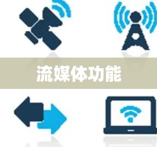 流媒体功能