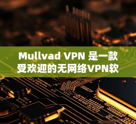 Mullvad VPN 是一款受欢迎的无网络VPN软件，以其快速连接和强大的安全性而闻名。如果你正在寻找替代软件，以下是一些推荐的隐私VPN选项