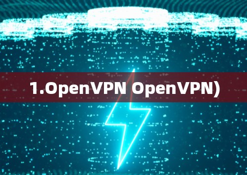 1.OpenVPN OpenVPN) 1.OpenVPN OpenVPN)