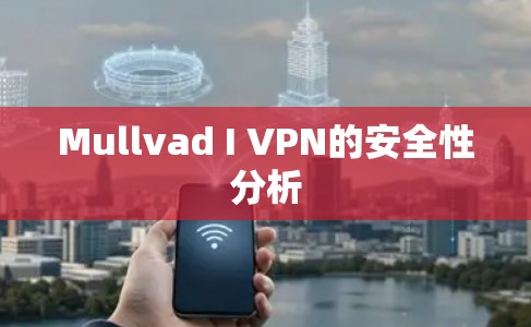Mullvad I VPN的安全性分析 Mullvad I VPN的安全性分析
