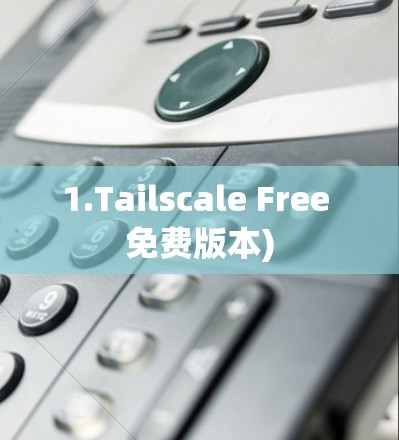 1.Tailscale Free 免费版本) 1.Tailscale Free 免费版本)
