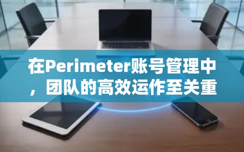 在Perimeter账号管理中,团队的高效运作至关重要。以下是一个结构化且全面的团队设置方法 在Perimeter账号管理中,团队的高效运作至关重要。以下是一个结构化且全面的团队设置方法