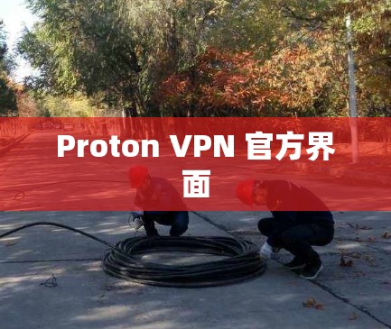 Proton VPN 官方界面