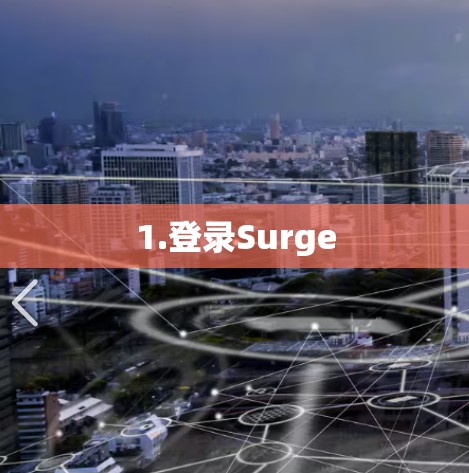 1.登录Surge 1.登录Surge