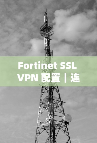 Fortinet SSL VPN 配置|连接指南 Fortinet SSL VPN 配置|连接指南