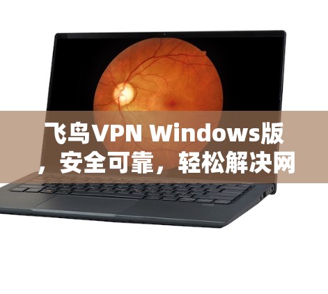 飞鸟VPN Windows版,安全可靠,轻松解决网络问题 飞鸟VPN Windows版,安全可靠,轻松解决网络问题