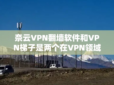 奈云VPN翻墙软件和VPN梯子是两个在VPN领域中广泛应用的工具,它们各有其独特的功能和适用场景。以下是对两者的详细对比和总结 奈云VPN翻墙软件和VPN梯子是两个在VPN领域中广泛应用的工具,它们各有其独特的功能和适用场景。以下是对两者的详细对比和总结