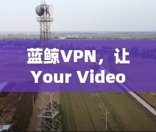 蓝鲸VPN，让Your Video Go Fast的高效VPN解决方案