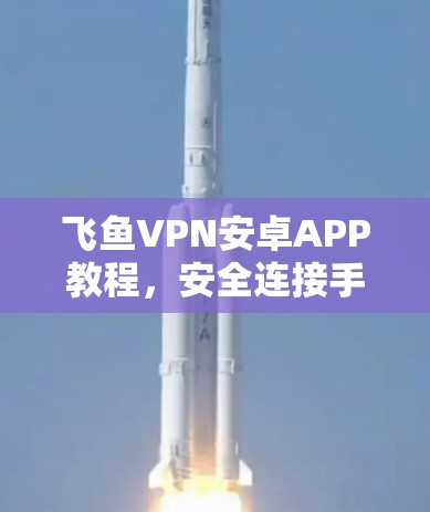 飞鱼VPN安卓APP教程，安全连接手机轻松上网