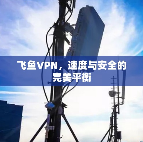 飞鱼VPN,速度与安全的完美平衡 飞鱼VPN,速度与安全的完美平衡