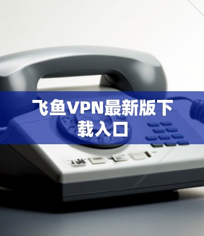 飞鱼VPN最新版下载入口 飞鱼VPN最新版下载入口