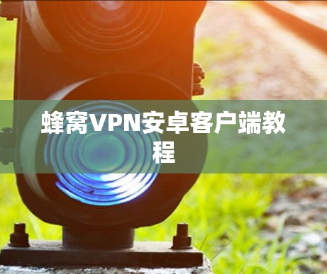 蜂窝VPN安卓客户端教程