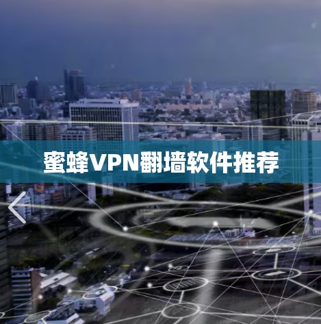 蜜蜂VPN翻墙软件推荐 蜜蜂VPN翻墙软件推荐