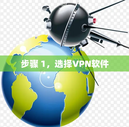 步骤 1，选择VPN软件