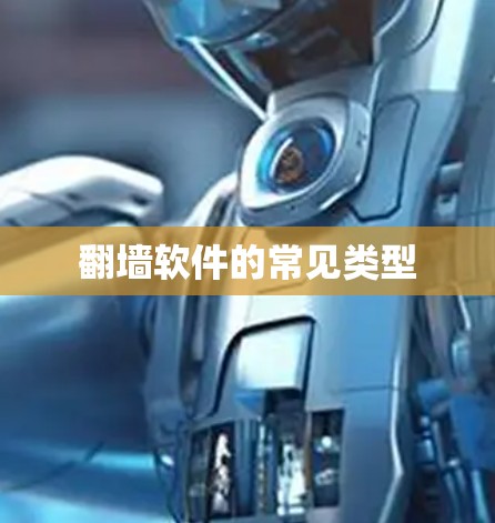 翻墙软件的常见类型