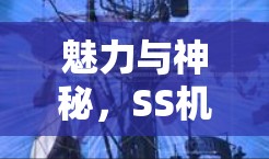 魅力与神秘,SS机场 魅力与神秘,SS机场