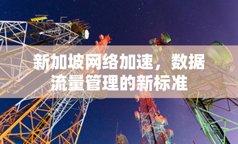 新加坡网络加速，数据流量管理的新标准