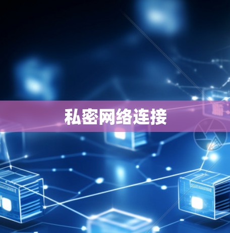 私密网络连接 私密网络连接