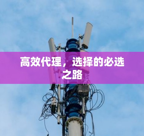 高效代理，选择的必选之路