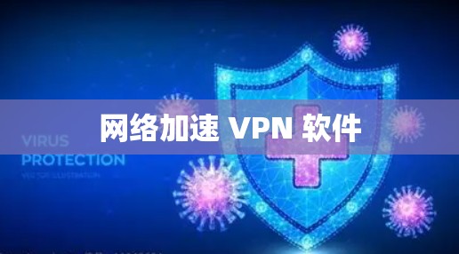 网络加速 VPN 软件 网络加速 VPN 软件