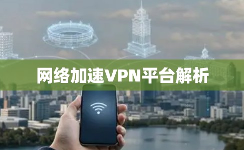 网络加速VPN平台解析 网络加速VPN平台解析