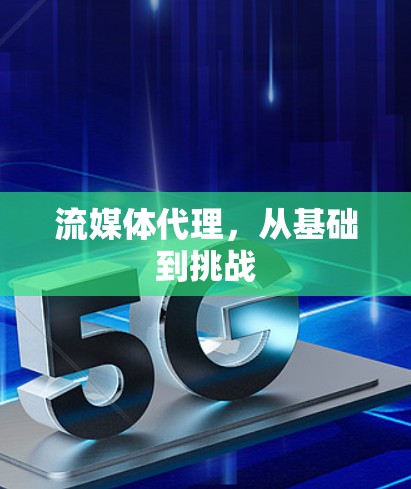 流媒体代理，从基础到挑战