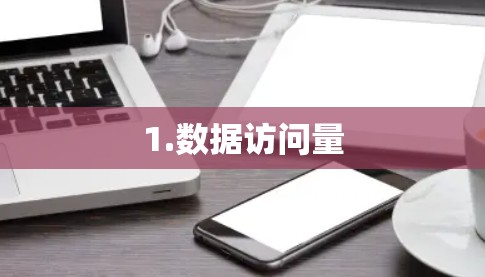 1.数据访问量