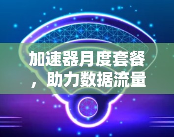 加速器月度套餐,助力数据流量管理,打造高效数据传输体验 加速器月度套餐,助力数据流量管理,打造高效数据传输体验