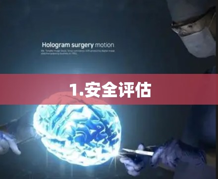 1.安全评估 1.安全评估