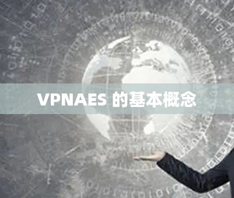 VPNAES 的基本概念 VPNAES 的基本概念