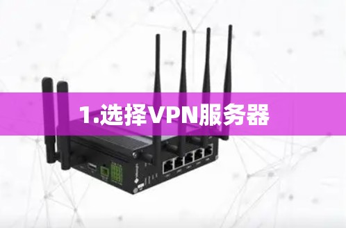 1.选择VPN服务器 1.选择VPN服务器