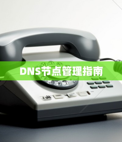 DNS节点管理指南 DNS节点管理指南