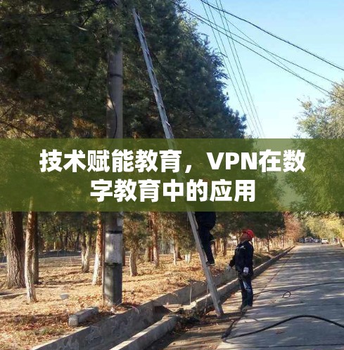 技术赋能教育,VPN在数字教育中的应用 技术赋能教育,VPN在数字教育中的应用