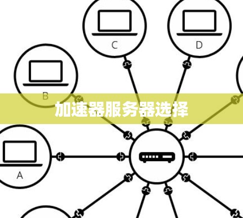 加速器服务器选择 加速器服务器选择
