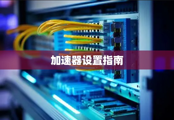 加速器设置指南 加速器设置指南