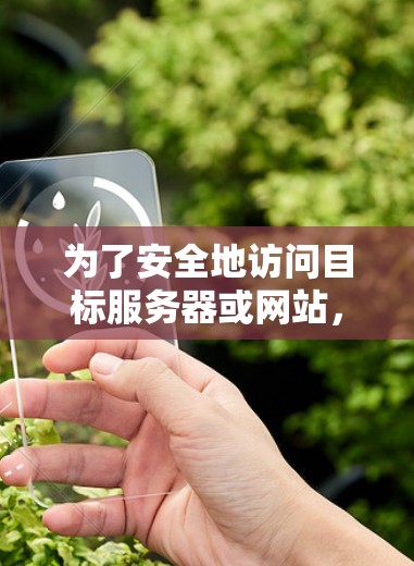 为了安全地访问目标服务器或网站,以下是一个逐步指南 为了安全地访问目标服务器或网站,以下是一个逐步指南