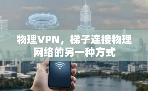 物理VPN，梯子连接物理网络的另一种方式