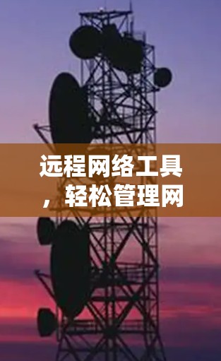 远程网络工具,轻松管理网络环境的高效解决方案 远程网络工具,轻松管理网络环境的高效解决方案