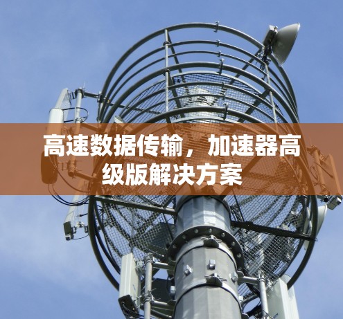 高速数据传输，加速器高级版解决方案
